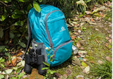 20L Lightweight Foldable Waterproof Nylon Backpack