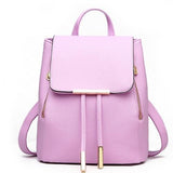 Women's Fashion Executive Purse Backpack